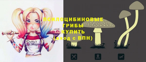 ECSTASY Покачи