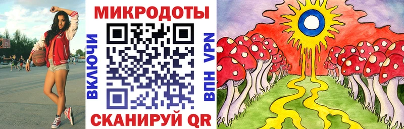 Галлюциногенные грибы мицелий  hydra онион  Котельнич 